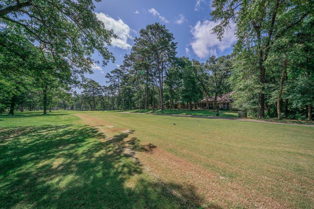 Holly Lake Ranch, TX 75765,234 Spring Lake Knoll