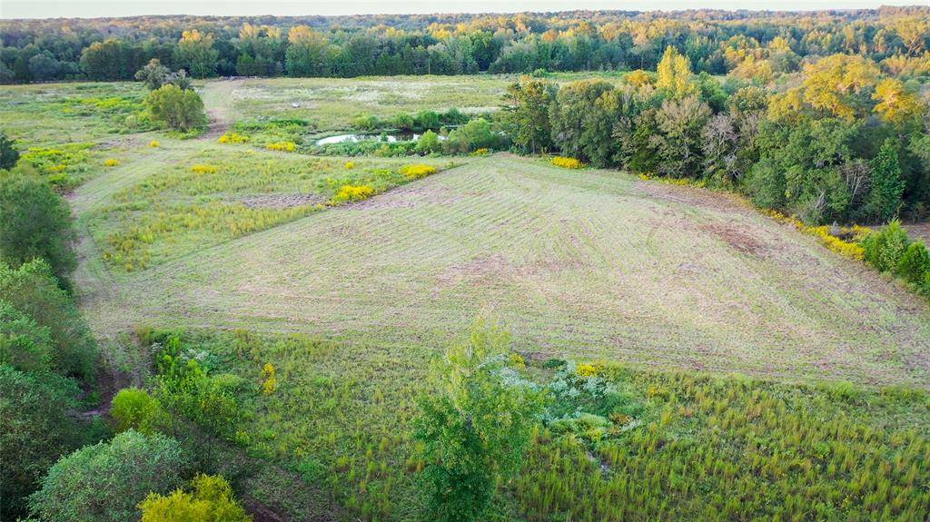 Quitman, TX 75783,TBD E Goode Street