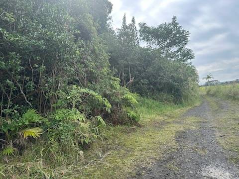 Mountain View, HI 96771