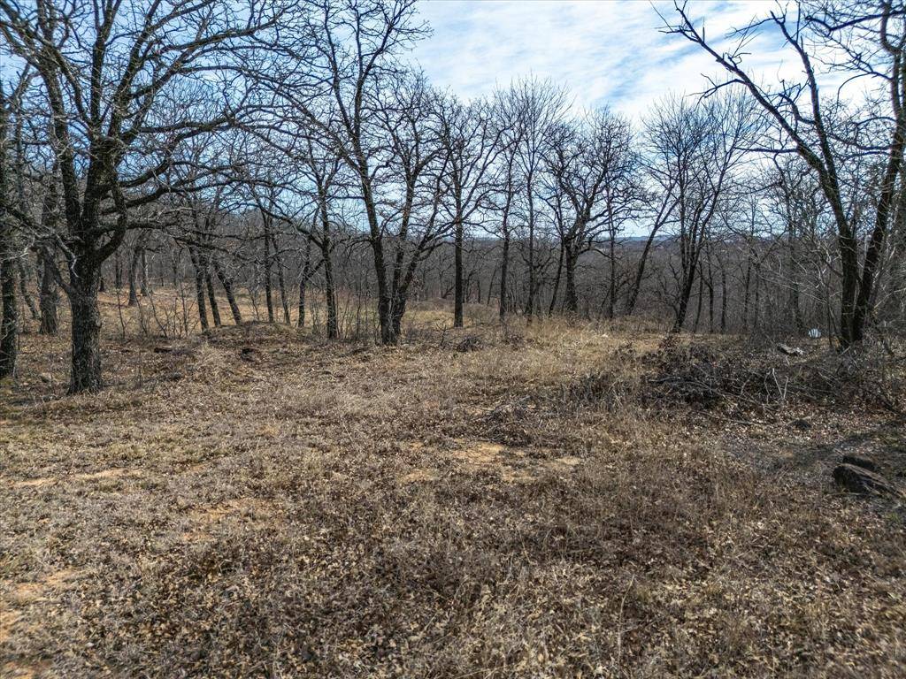 Runaway Bay, TX 76426,Lot 59 TBD Cimmarron Bay Drive