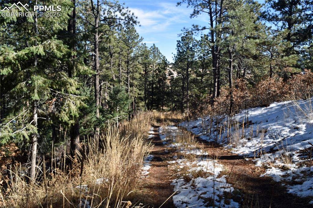 Larkspur, CO 80118,12778 Greenland Acres RD