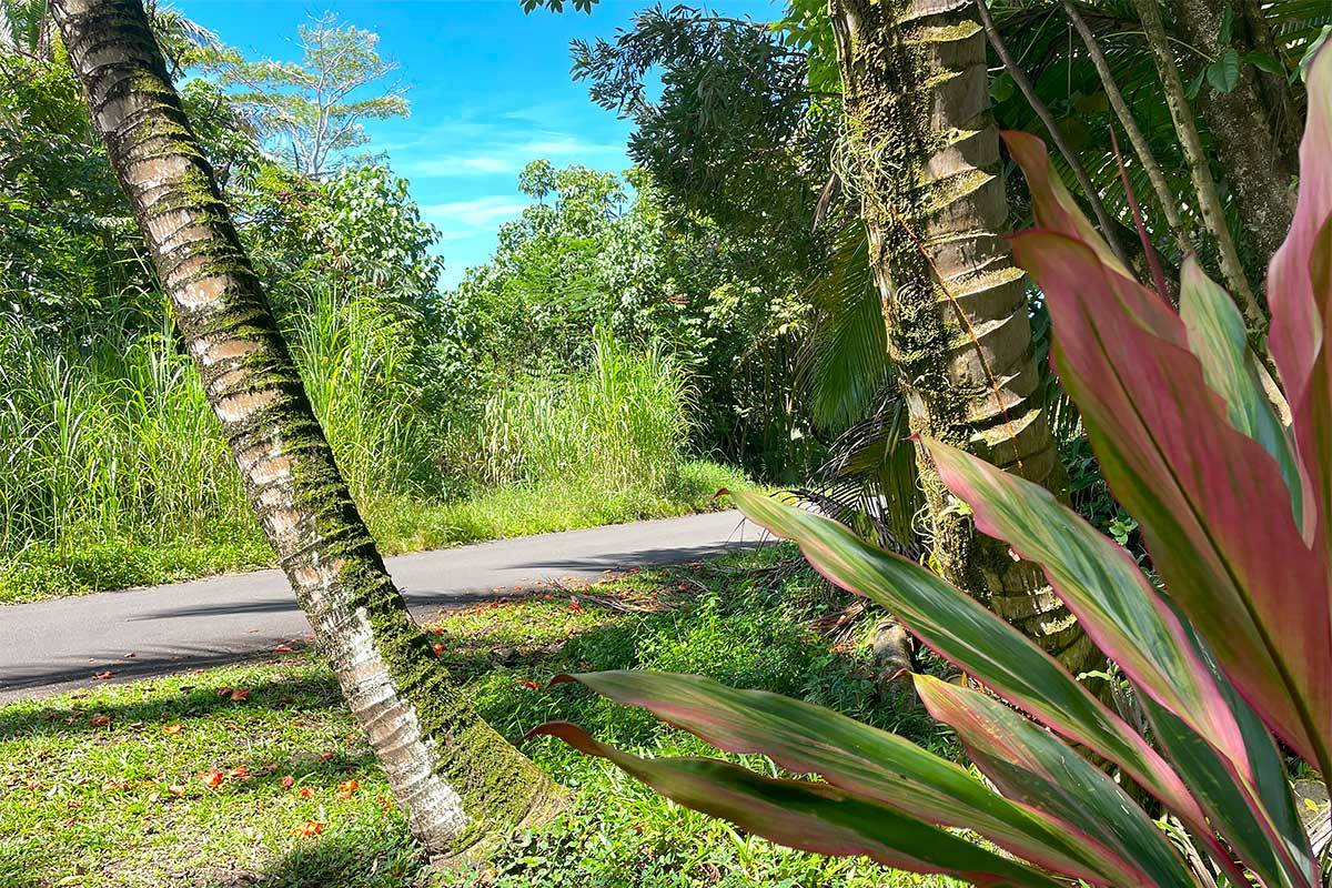 Pahoa, HI 96778,GOVERNMENT BEACH RD