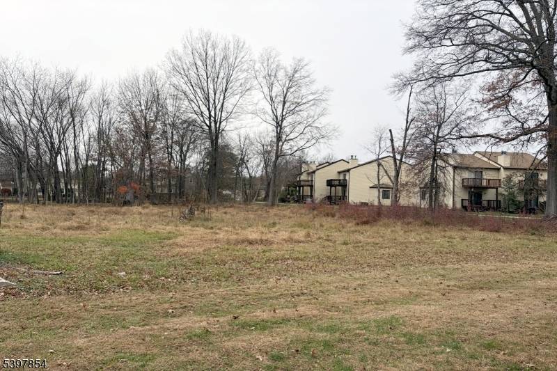 Flemington Boro, NJ 08822,8 Reasoner Ln