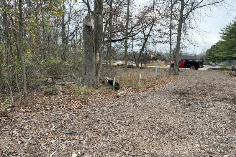 Flemington Boro, NJ 08822,8 Reasoner Ln