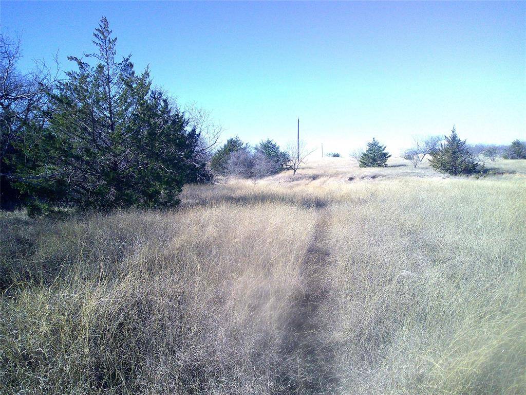 Chico, TX 76431,Tr 4E CR 1750