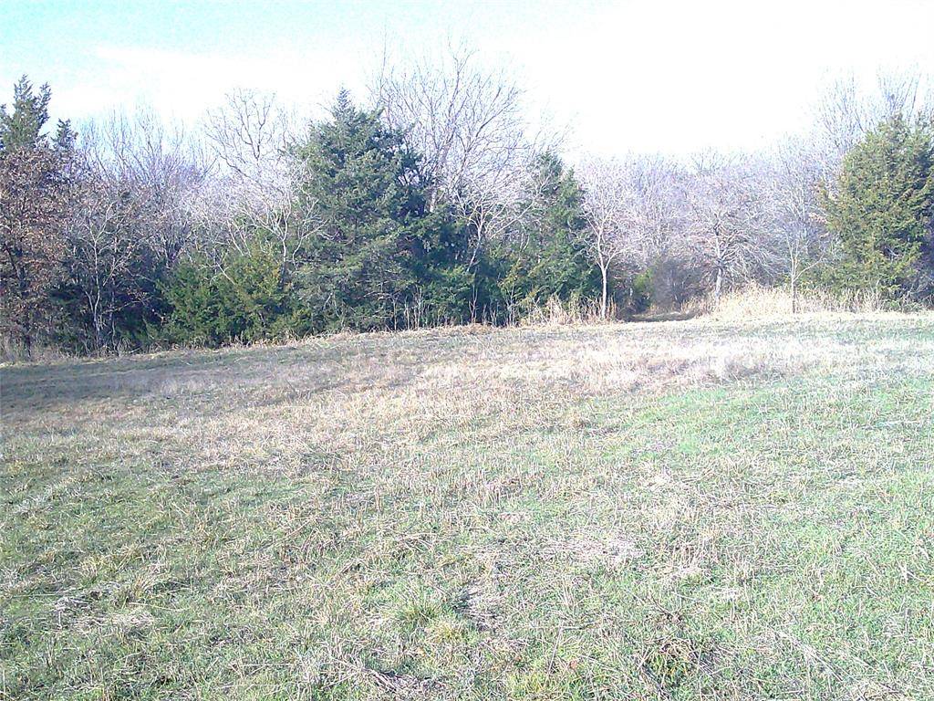 Saint Jo, TX 76265,Lot 2 Starr Mann