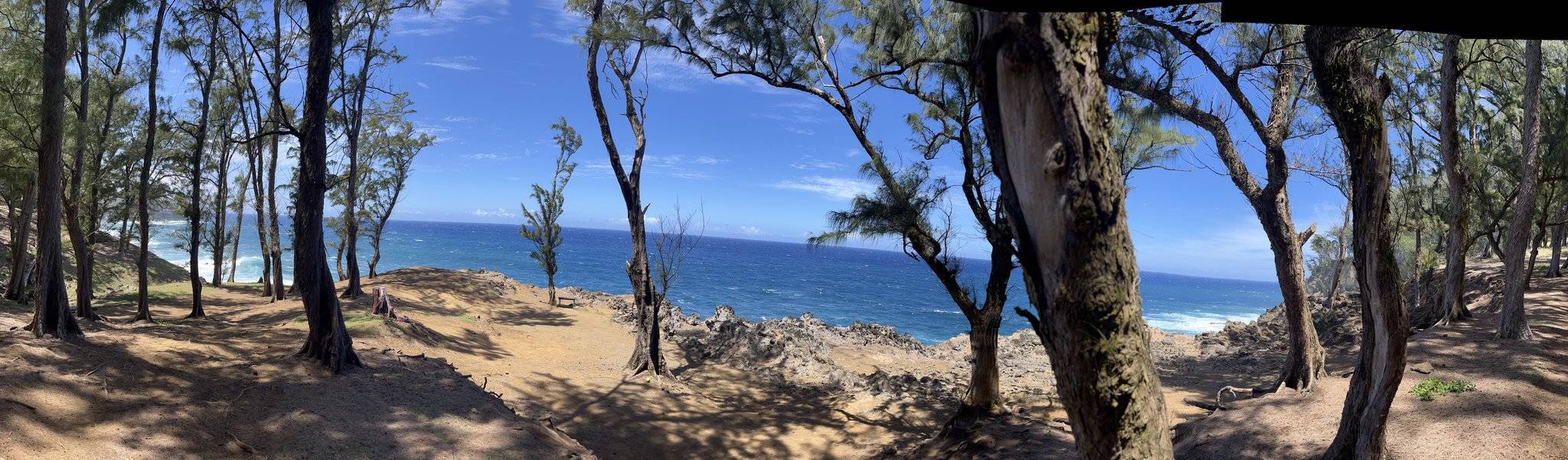 Honokaa, HI 96727,45-5060 NANAINA KAI ROAD