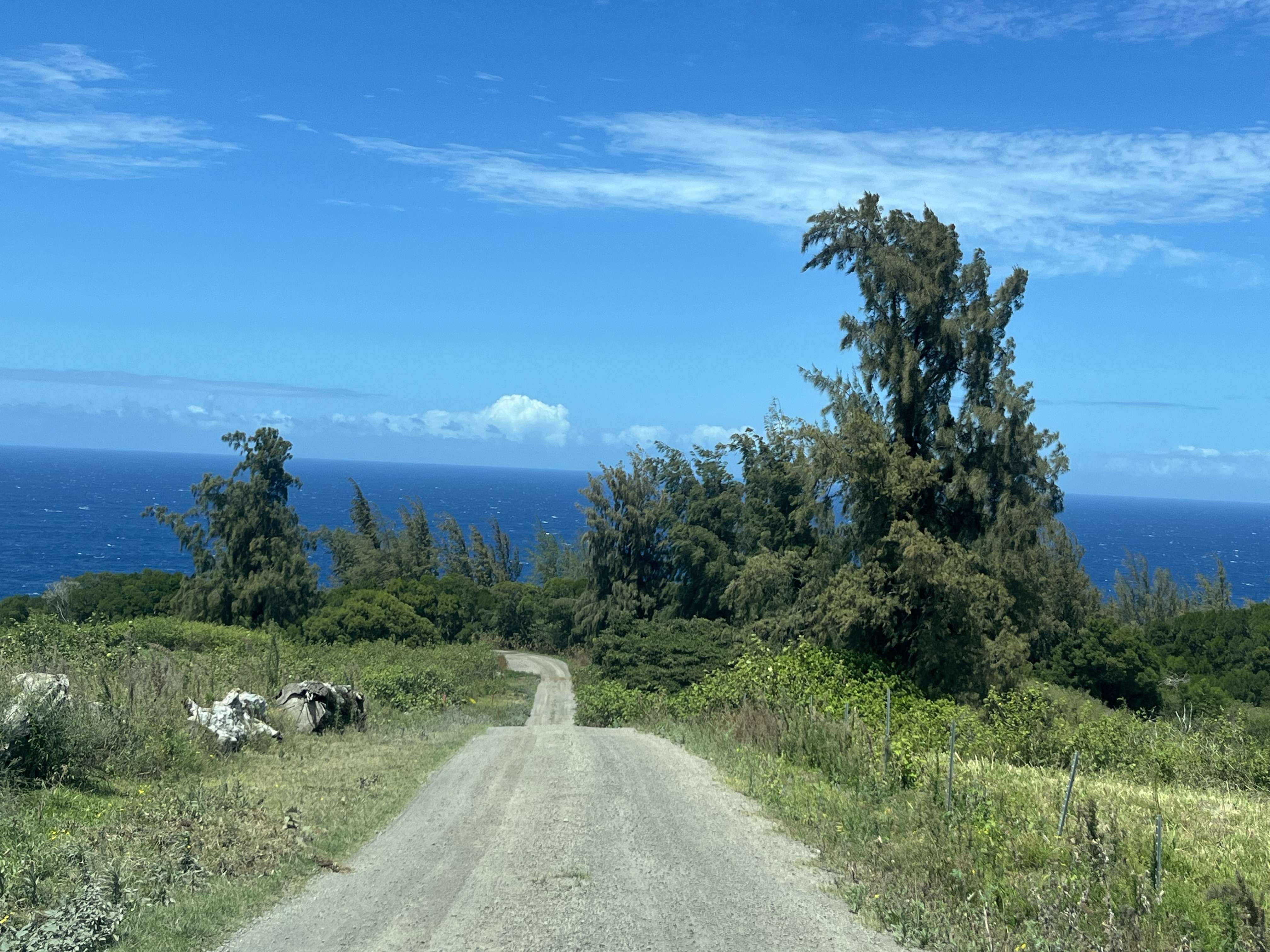 Honokaa, HI 96727,45-5060 NANAINA KAI ROAD