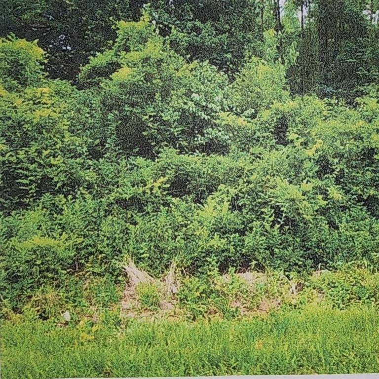 Tallahassee, FL 32312,XXXX Fairbanks Ferry