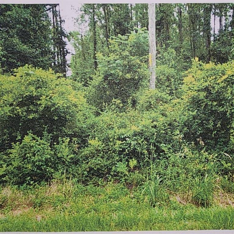 Tallahassee, FL 32312,XXXX Fairbanks Ferry