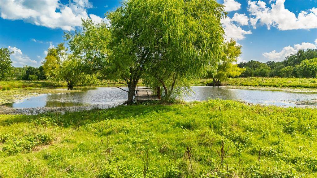 Greenville, TX 75401,415 Division Street