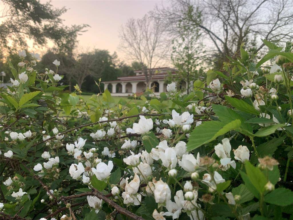 Athens, TX 75752,8414 County Road 3907