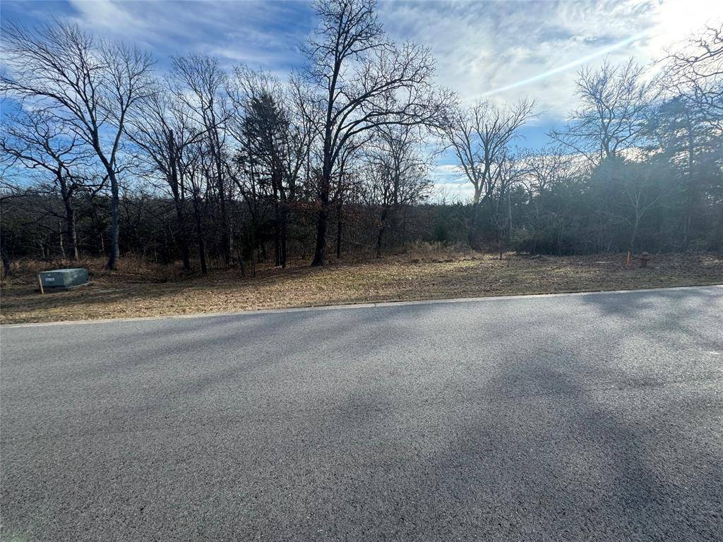 Gordonville, TX 76245,Lot 37 Dove Canyon Drive