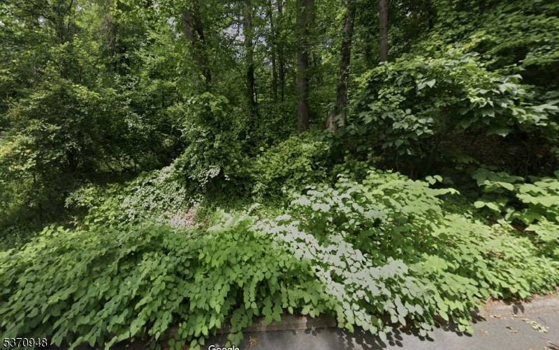 Mountainside Boro, NJ 07092,423 Summit Rd