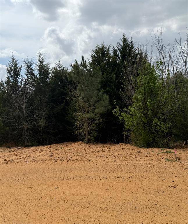3552 FM 3136 LOT 11, Coyote Flats, TX 76031