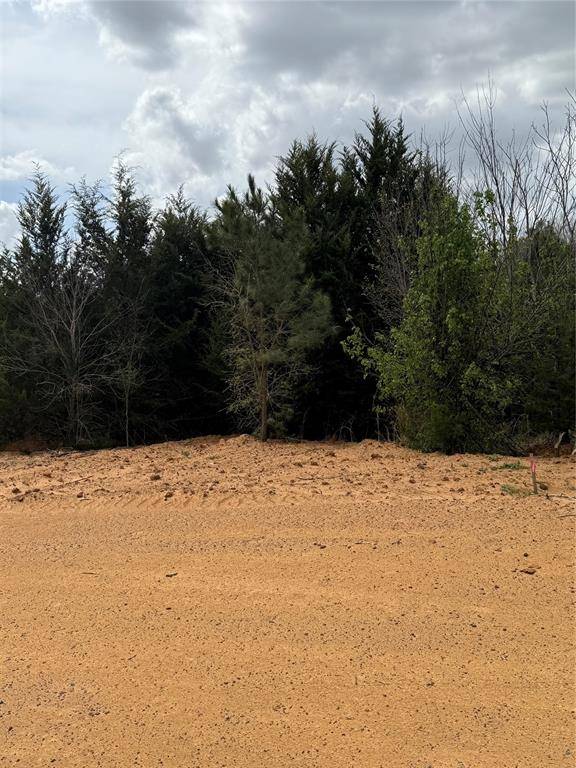3552 FM 3136 LOT 14, Coyote Flats, TX 76031