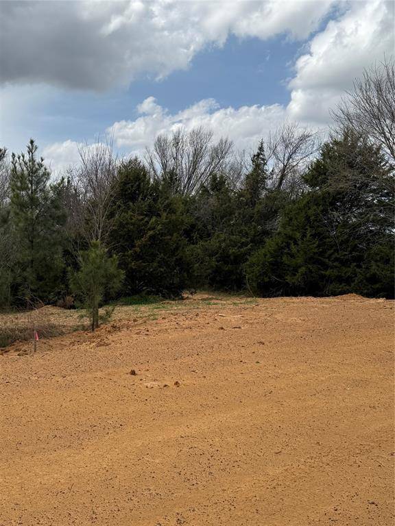 3552 FM 3136 LOT 14, Coyote Flats, TX 76031