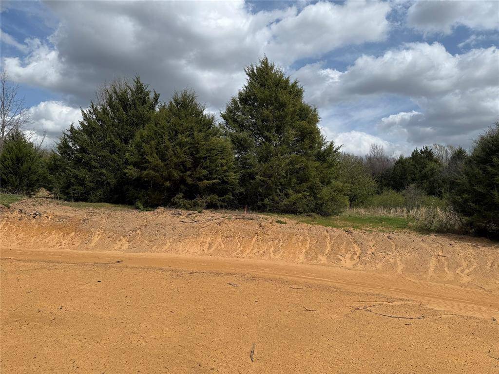 3552 FM 3136 LOT 9, Coyote Flats, TX 76031