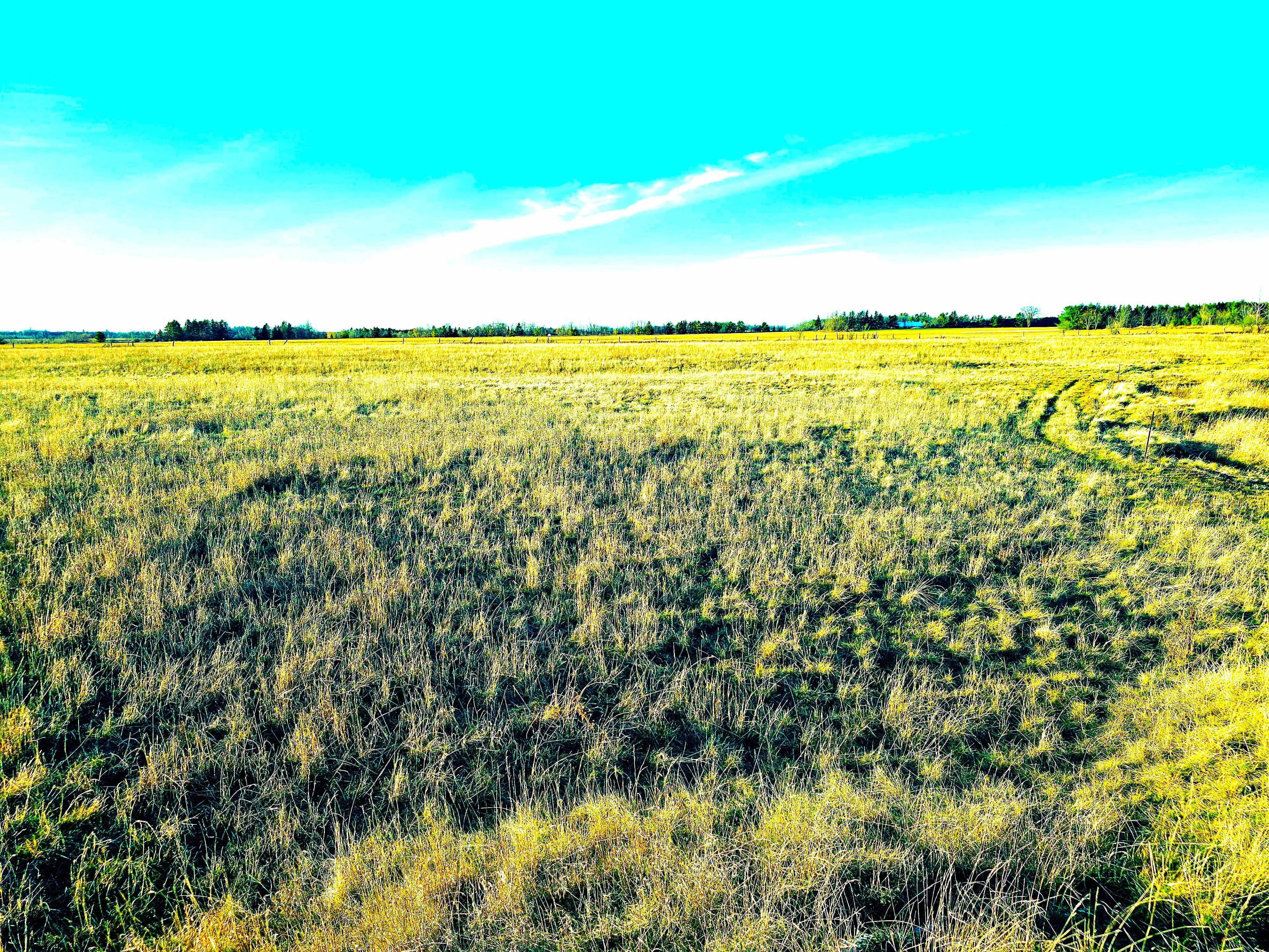 Carp - Dunrobin - Huntley - Fitzroy And Area, ON K0A 2H0,4056 Highway 17 HWY