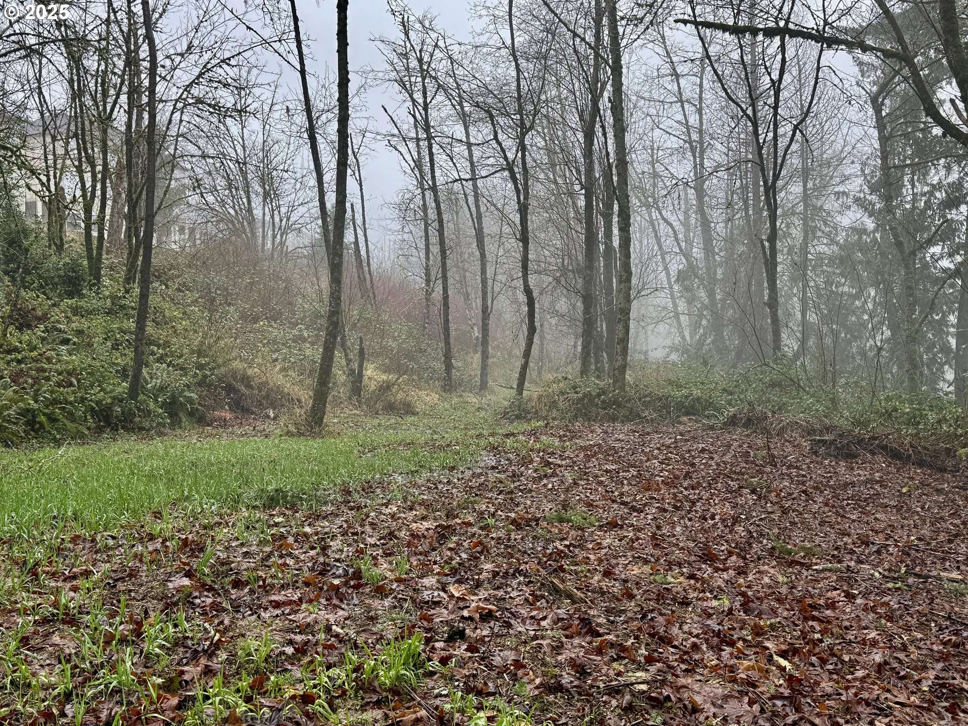 Longview, WA 98632,0 E Lynnwood DR