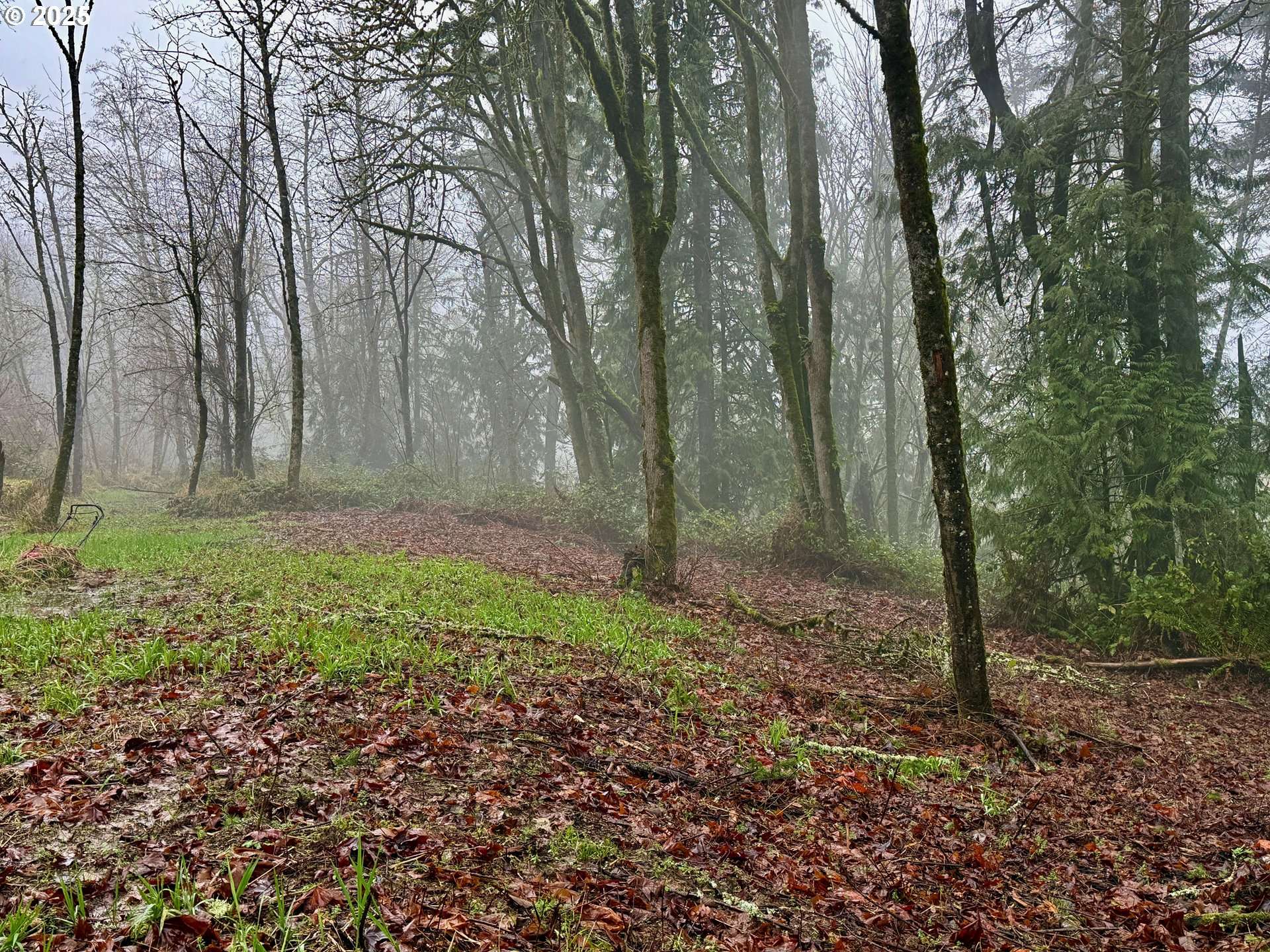 Longview, WA 98632,0 E Lynnwood DR