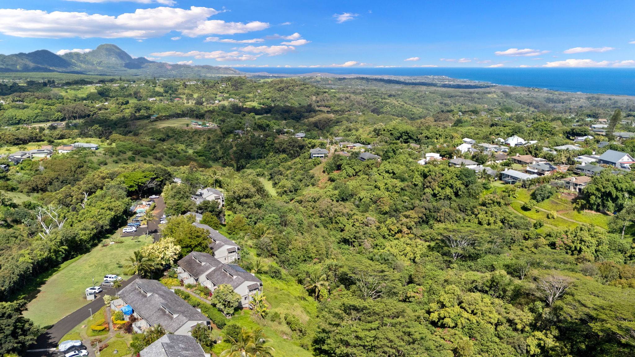 Kalaheo, HI 96741,4460 IKENA PL #54