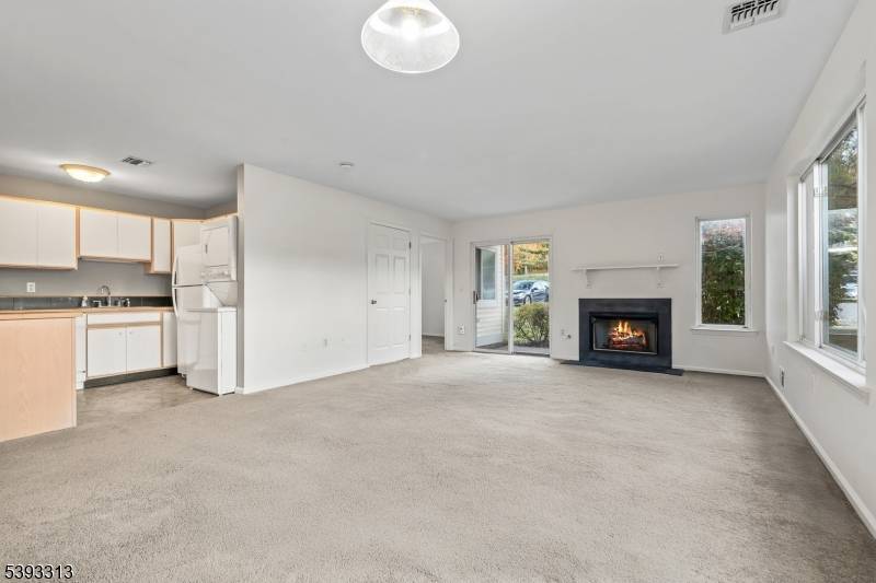 Hamburg Boro, NJ 07419,141 Falcon Ridge Way N #1