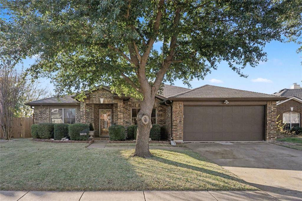 Rowlett, TX 75088,3809 Martha Lane
