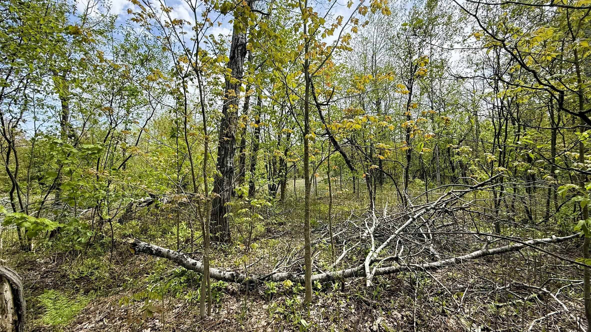 Mancelona, MI 49659,Lot 50 Breezewood DR