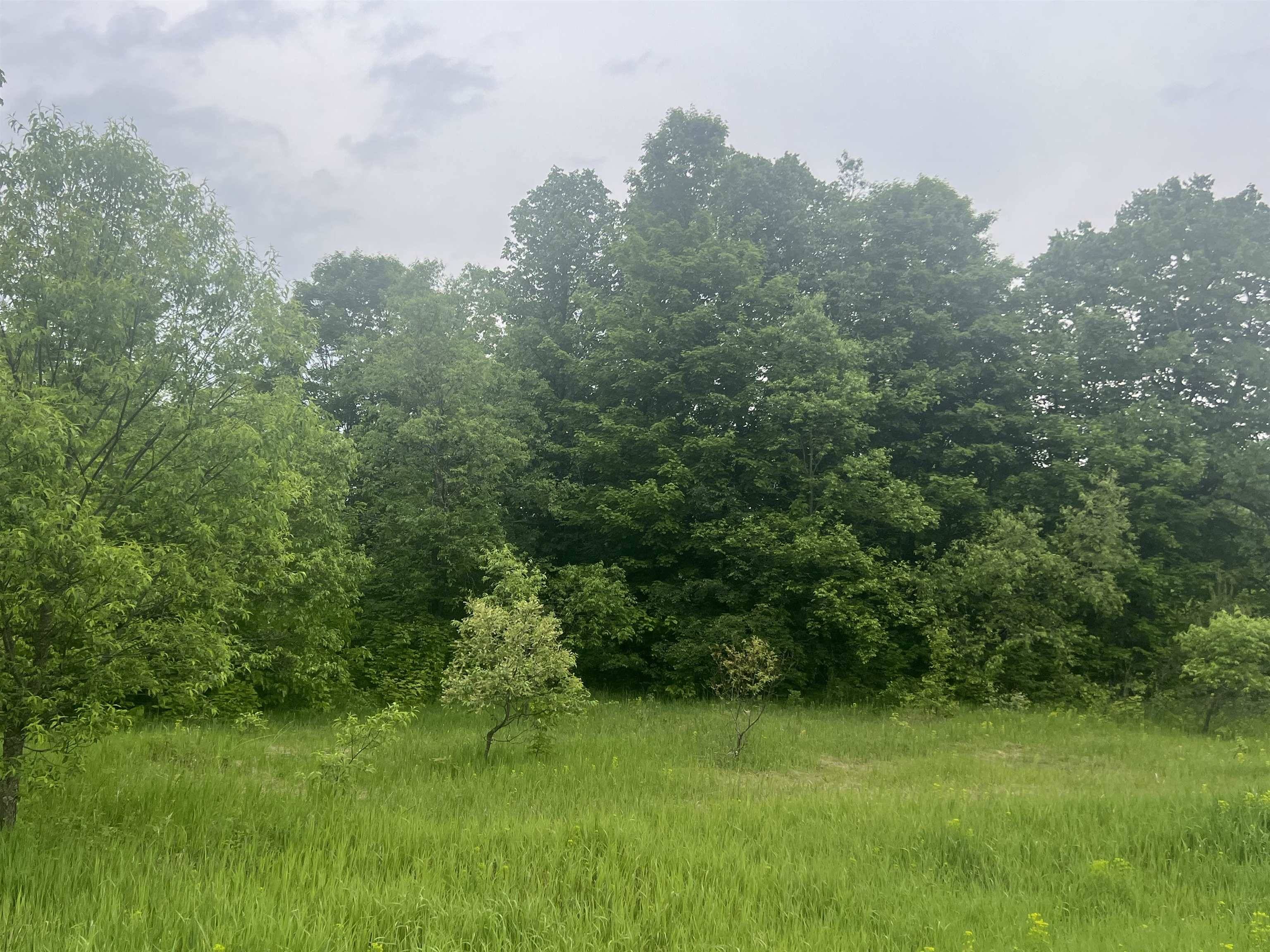 Kalkaska, MI 49646,00 Wood Road, NE