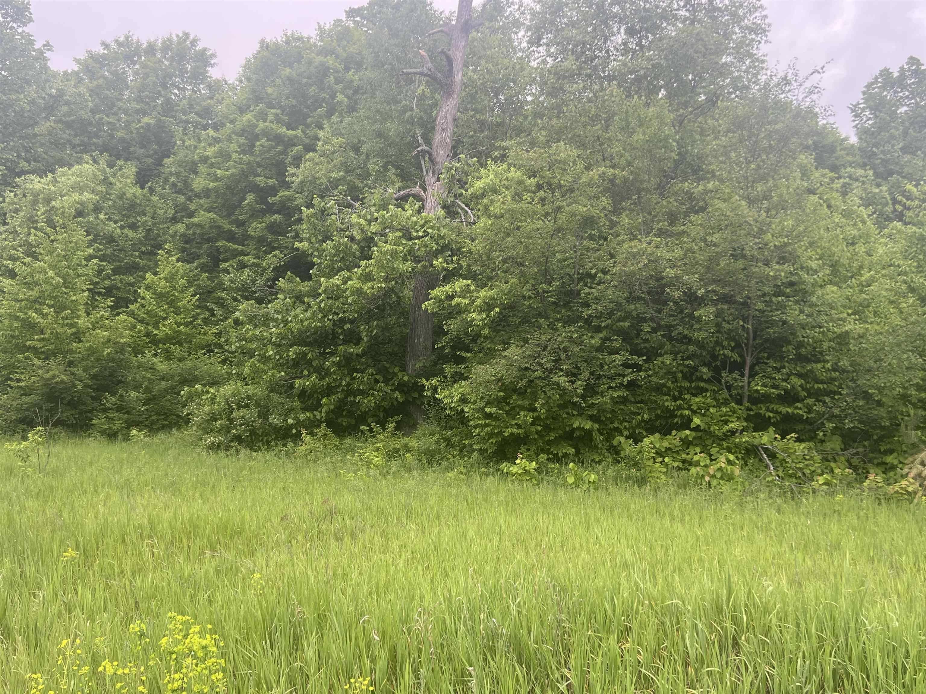 Kalkaska, MI 49646,00 Wood Road, NE