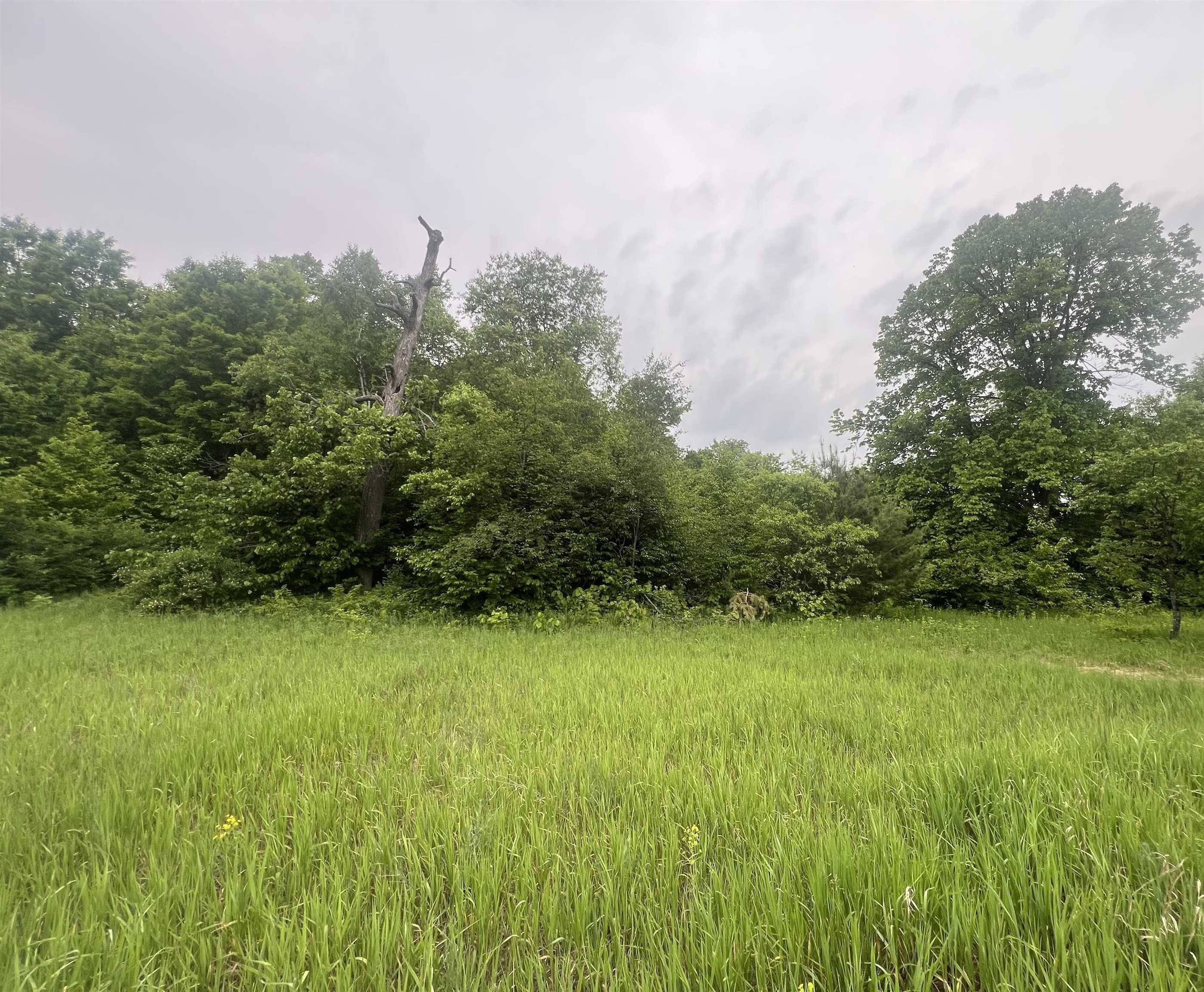 Kalkaska, MI 49646,00 Wood Road, NE