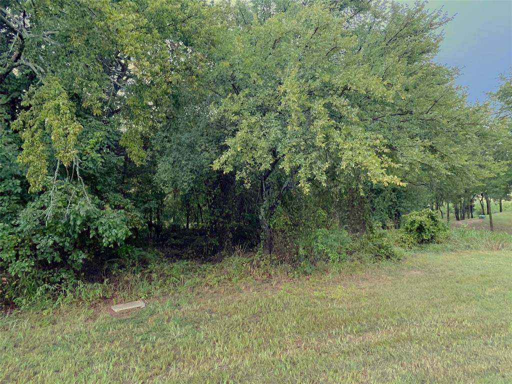 Gordonville, TX 76245,Lot 13C Coyote Creek Drive