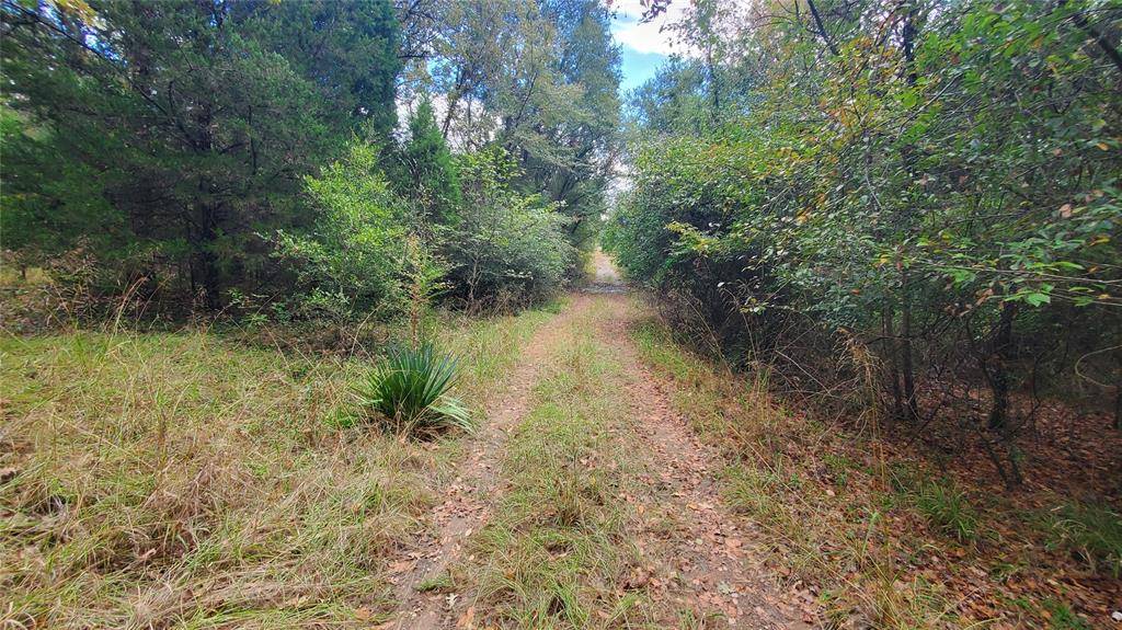 Log Cabin, TX 75148,0 Apache Trail