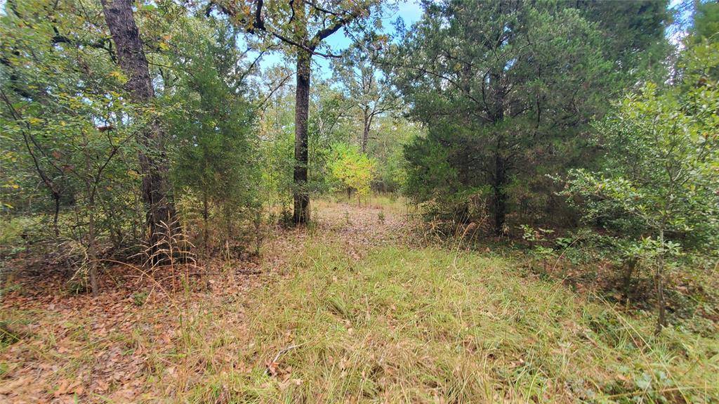 Log Cabin, TX 75148,0 Apache Trail