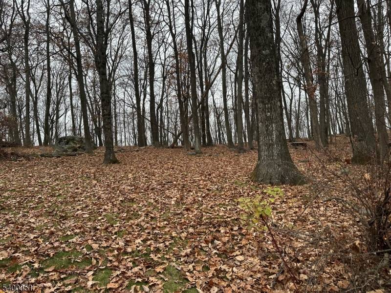 Rockaway Twp., NJ 07866,120 Cayuga Ave