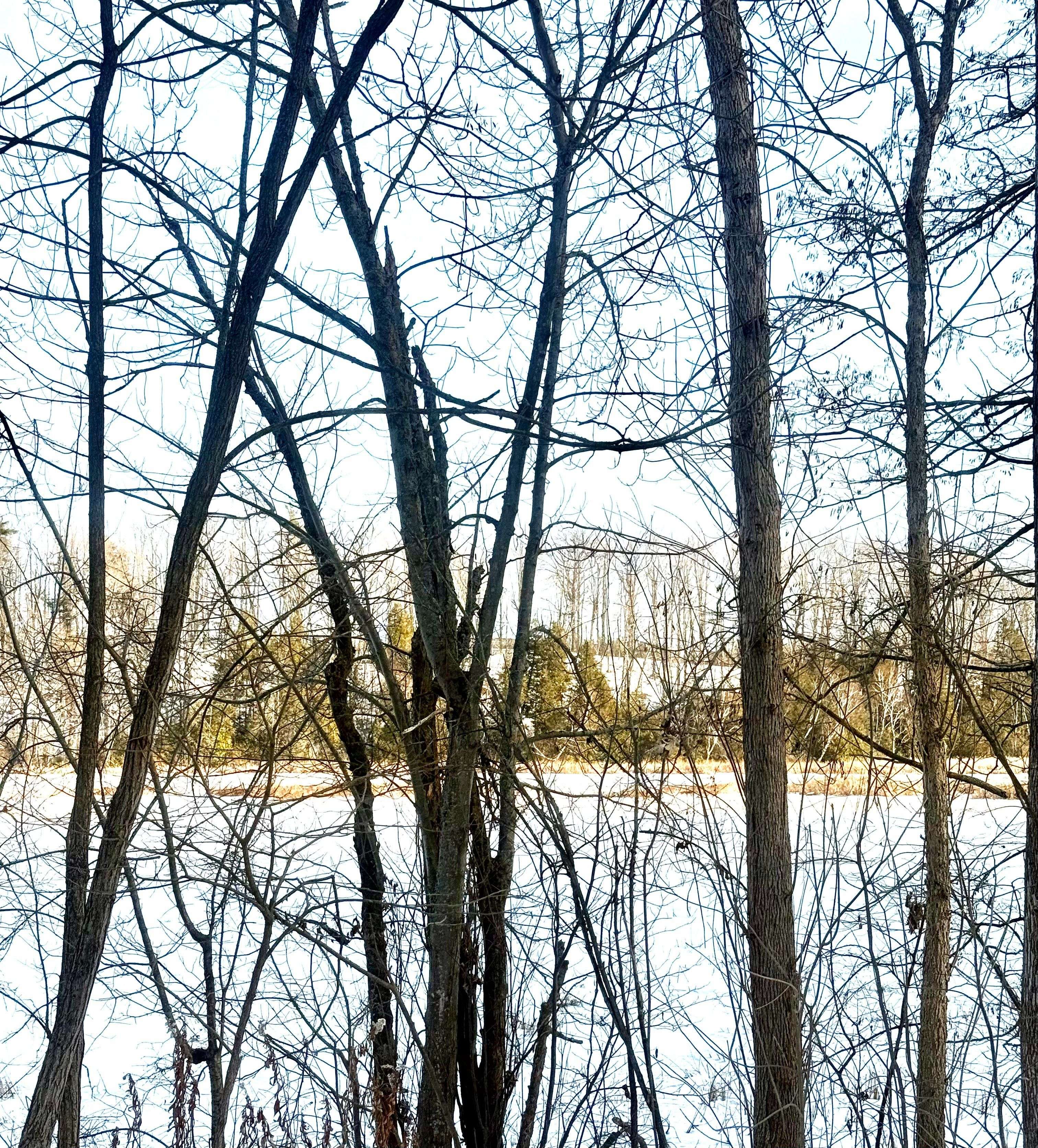 Otonabee-south Monaghan, ON K0L 1G0,58 Mill ST