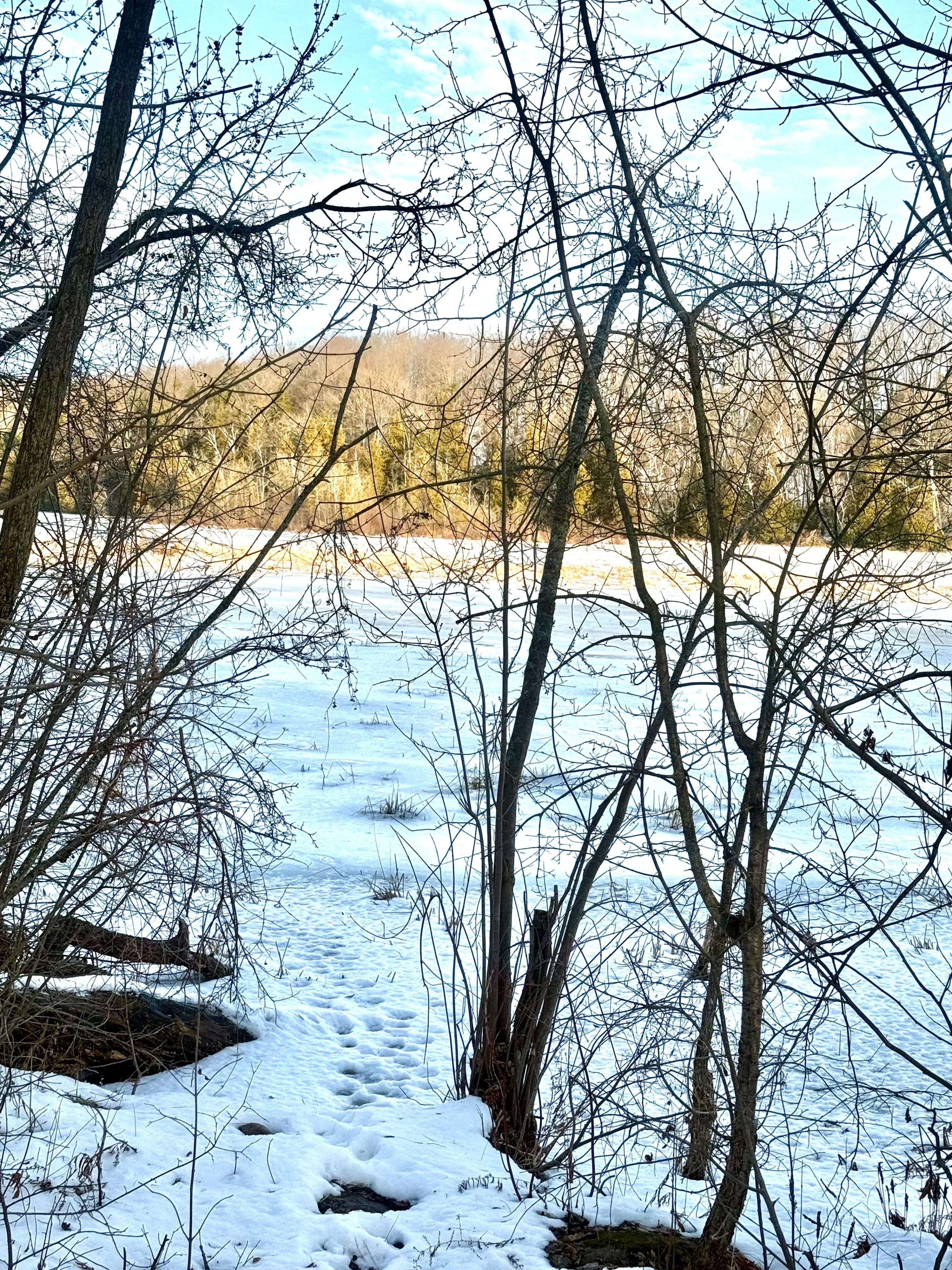 Otonabee-south Monaghan, ON K0L 1G0,58 Mill ST