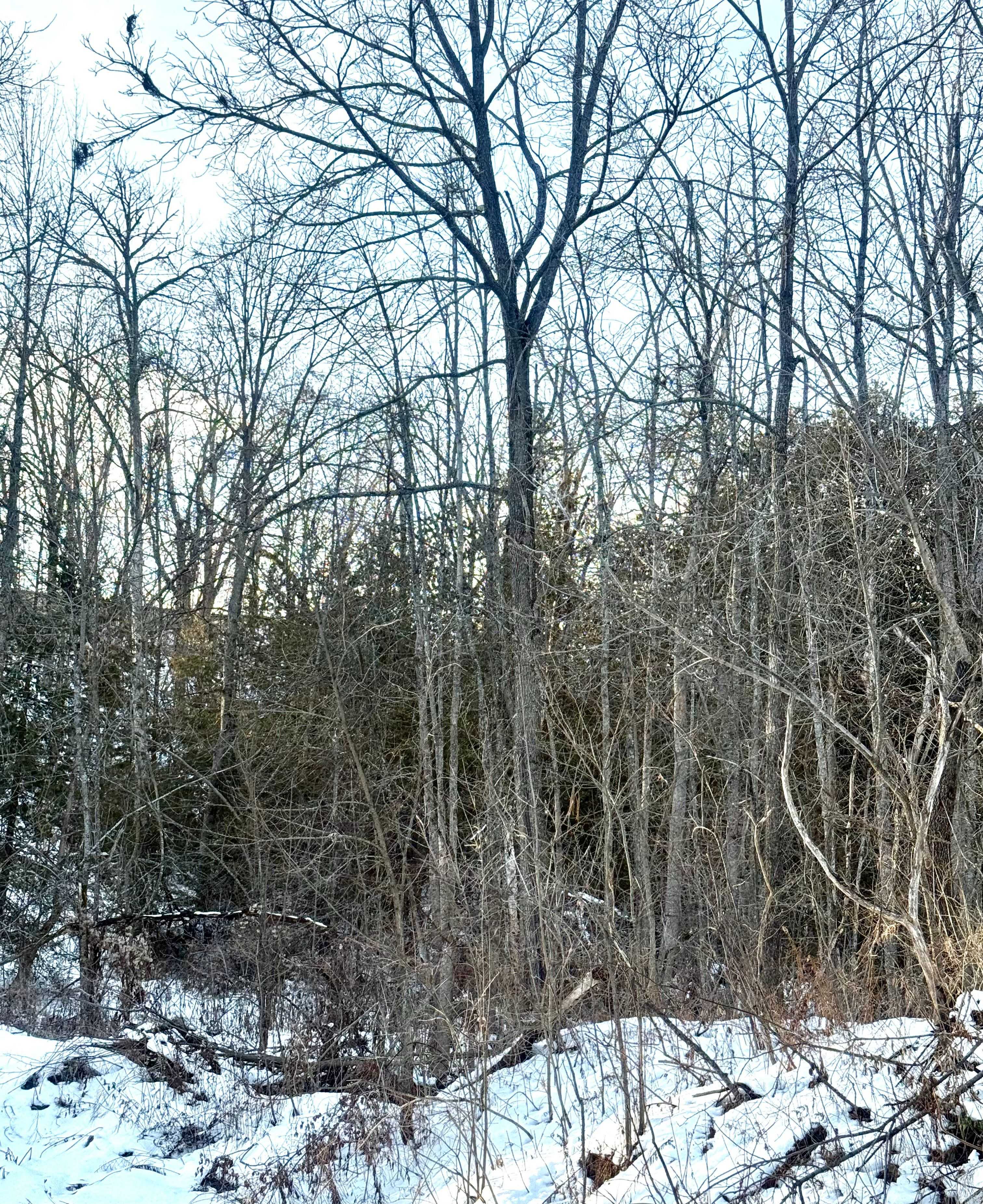 Otonabee-south Monaghan, ON K0L 1G0,58 Mill ST