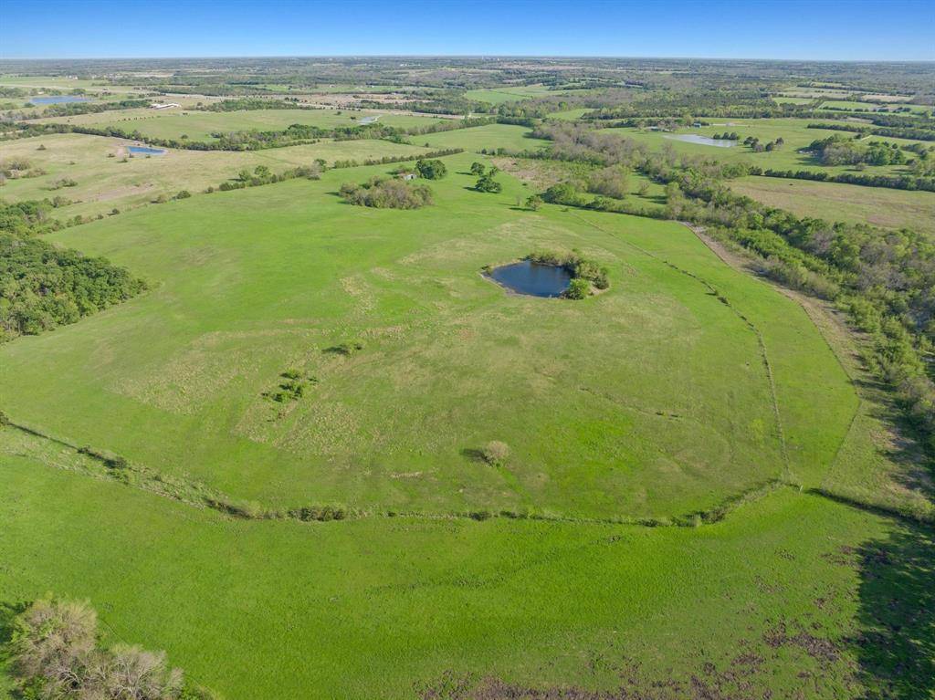 Dodd City, TX 75438,0000 County Road 2965