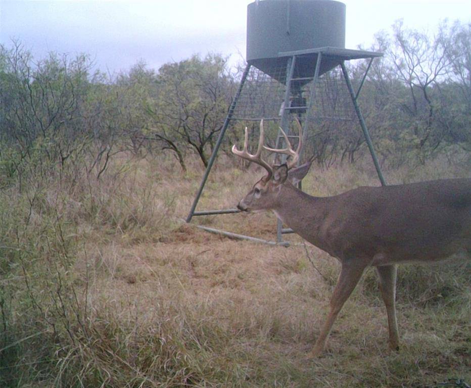 TBD FM 2321 TRACT 2, Bellevue, TX 76228