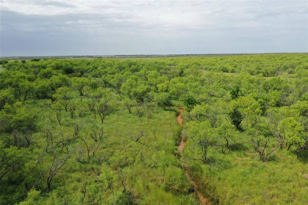 Bellevue, TX 76228,TBD FM 2321-TRACT 1