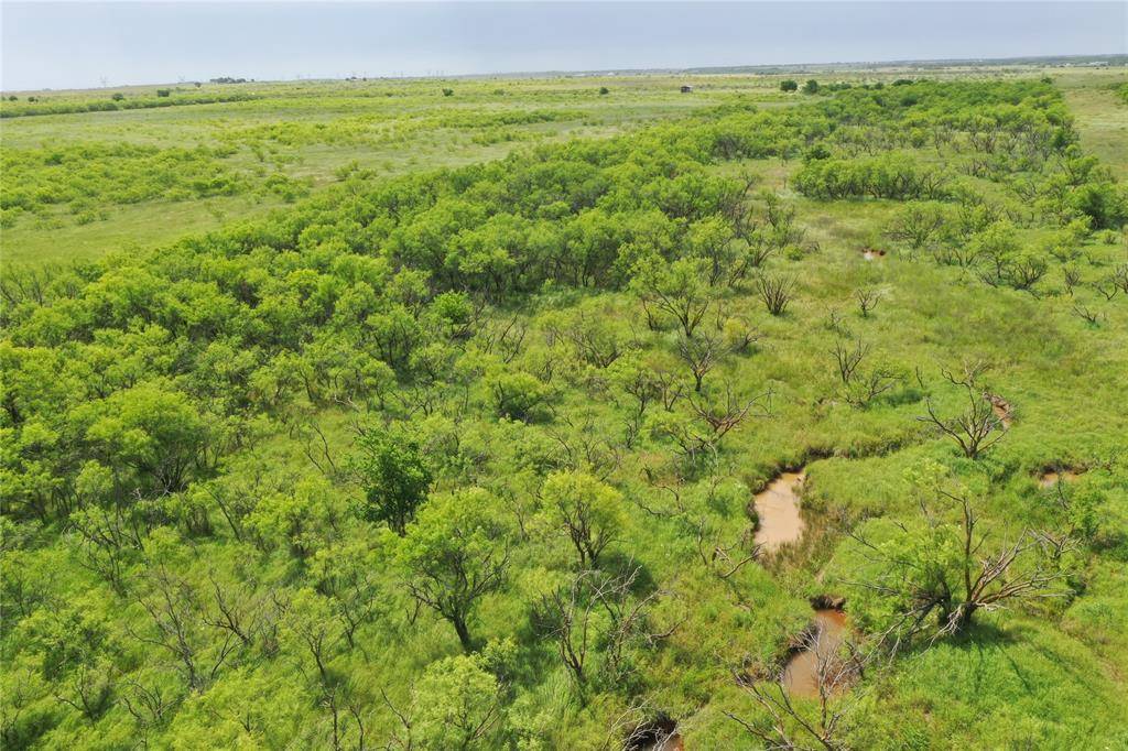 Bellevue, TX 76228,TBD Davis Ln-TRACT 9