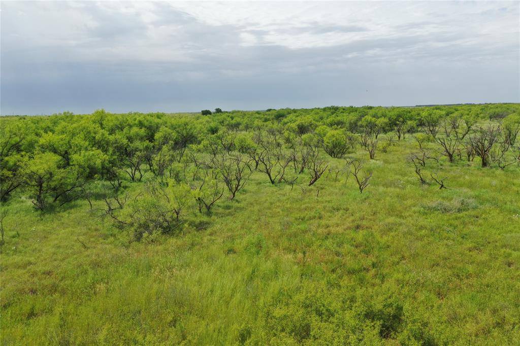 Bellevue, TX 76228,TBD Davis Ln-TRACT 9