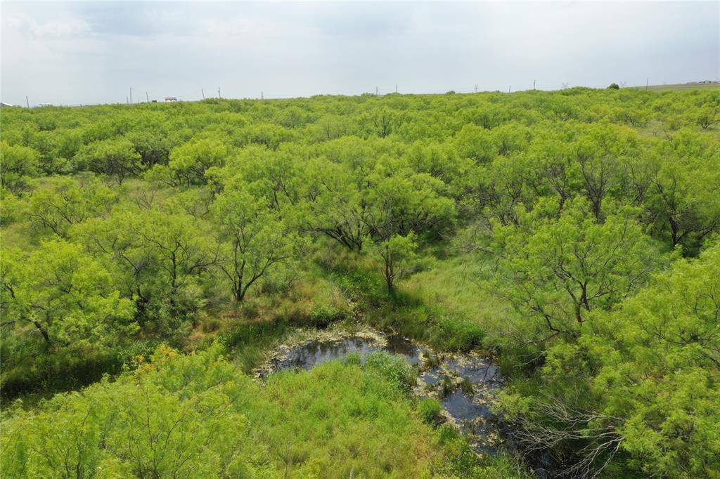 Bellevue, TX 76228,TBD McDonald Rd-TRACT 7