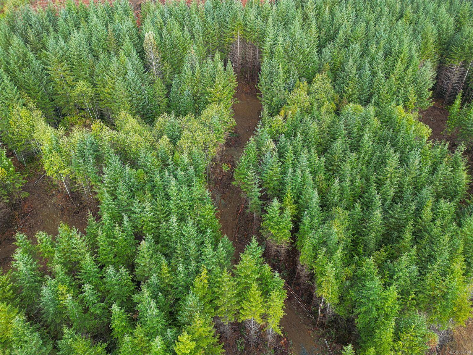 Sooke, BC V9Z 1L1,12140 Creekside Glen