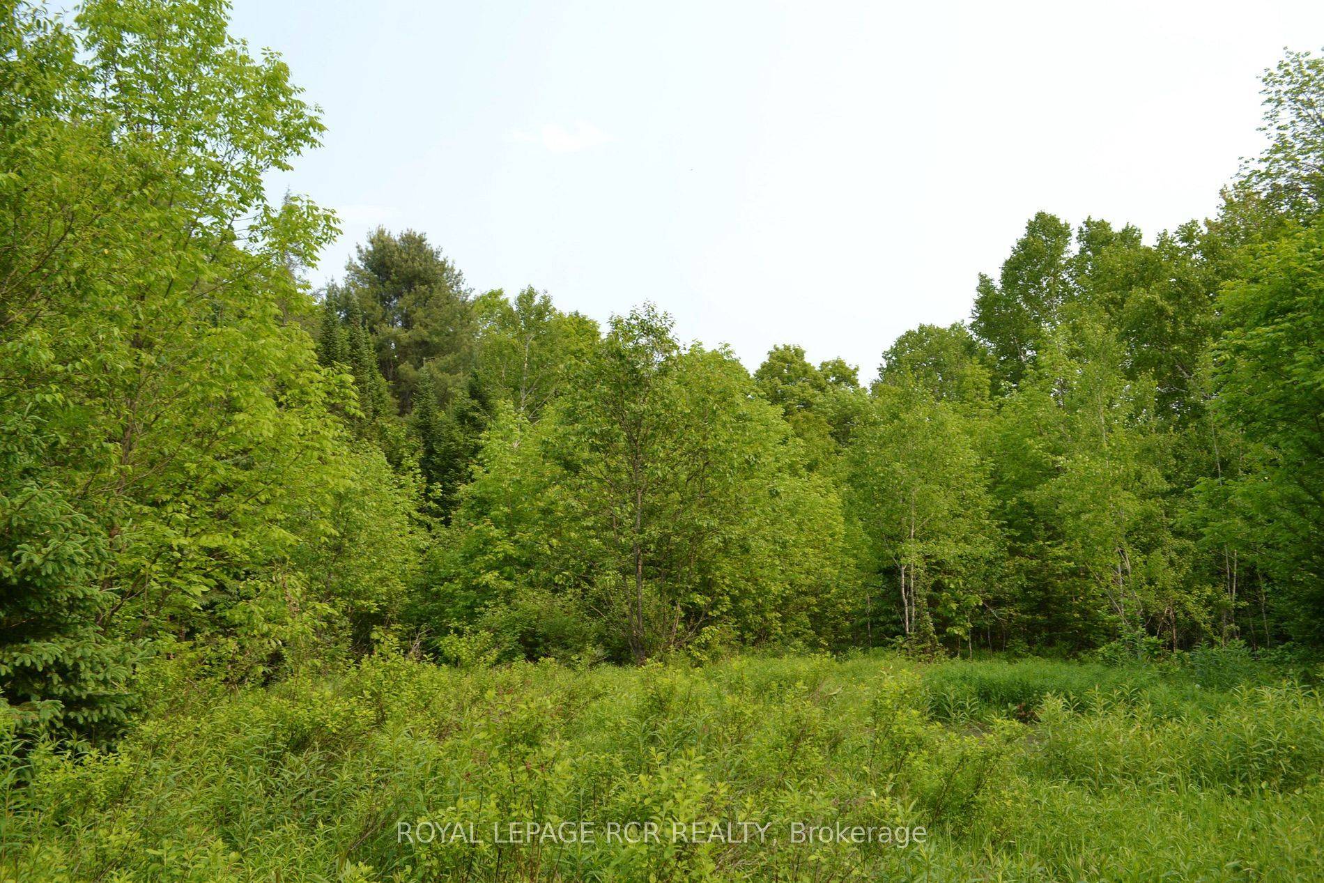 Highlands East, ON K0M 1R0,1527 Madill RD