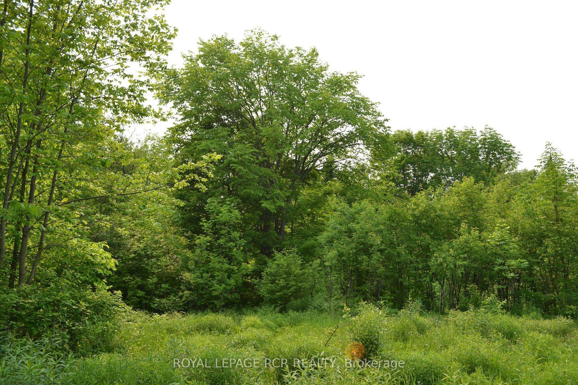 Highlands East, ON K0M 1R0,1527 Madill RD