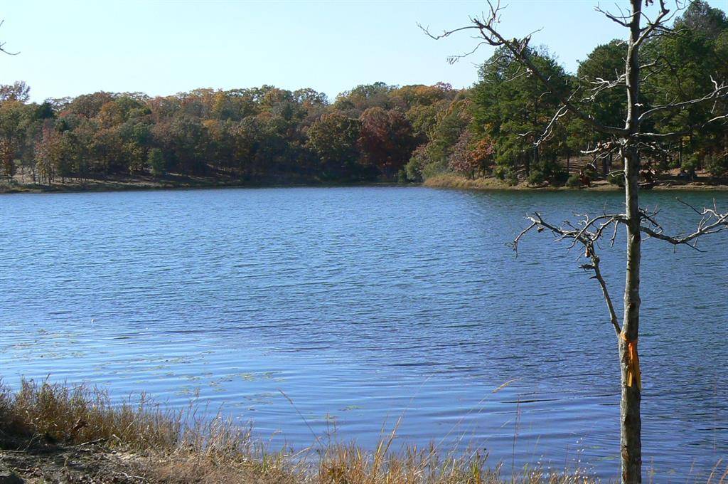 Larue, TX 75770,9122 Safari Bluff