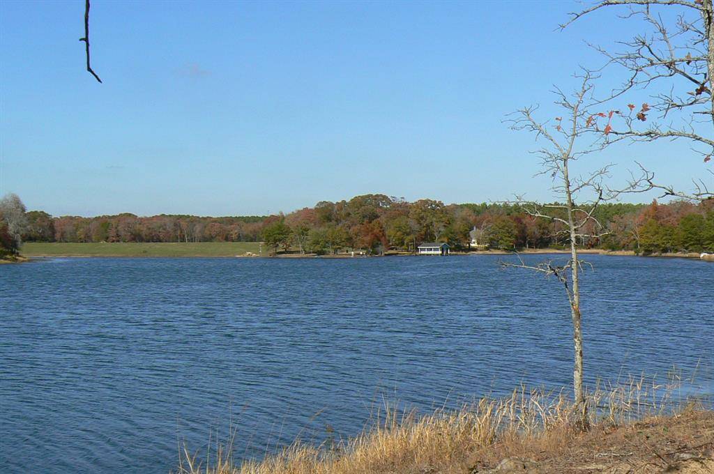 Larue, TX 75770,9122 Safari Bluff